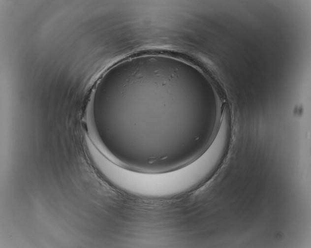 X0000111241361200907091349