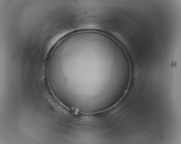 X0000111241364200907091349