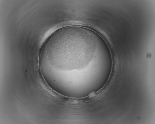 X0000111241365200907091349