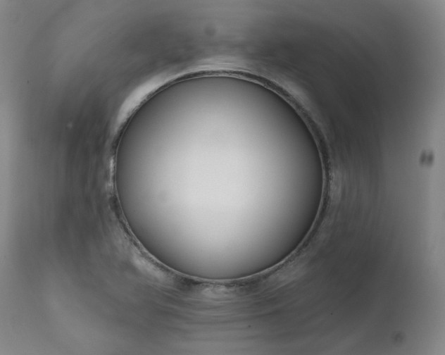 X0000111241366200907091349
