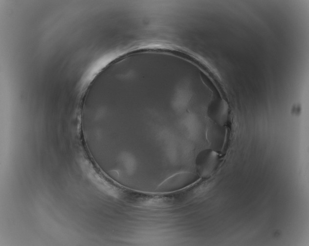 X0000111241367200907091349