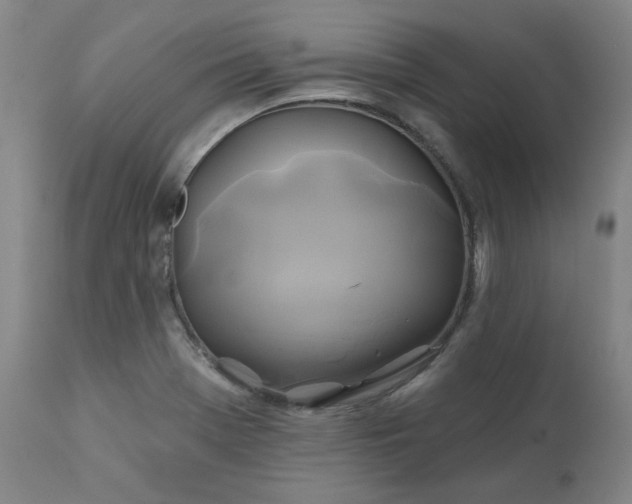 X0000111241369200907091349