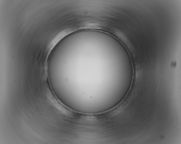 X0000111241370200907091349