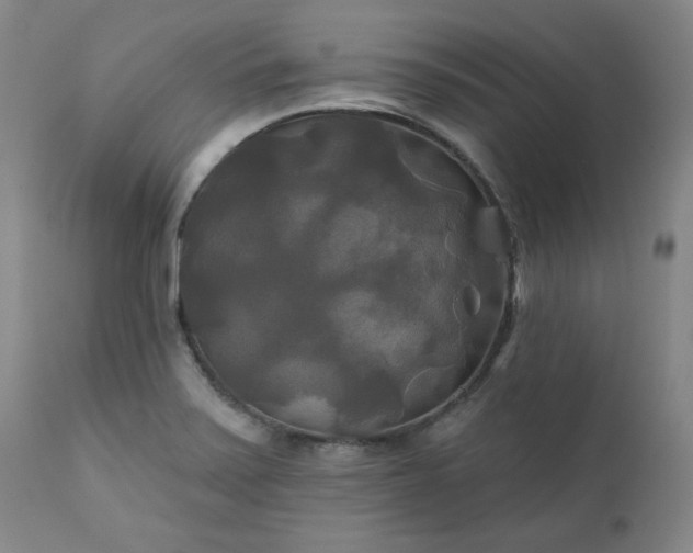 X0000111241371200907091349