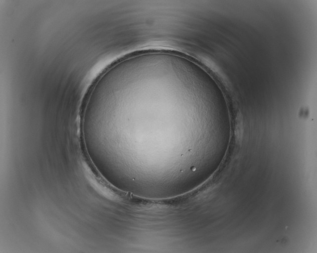X0000111241372200907091349