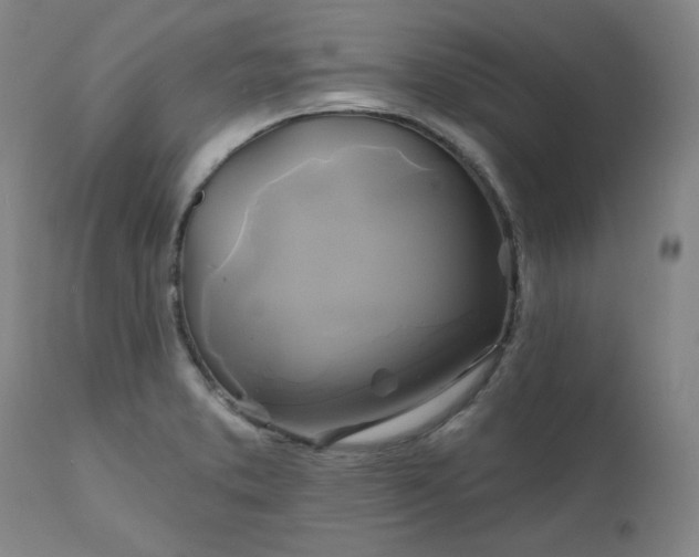 X0000111241373200907091349