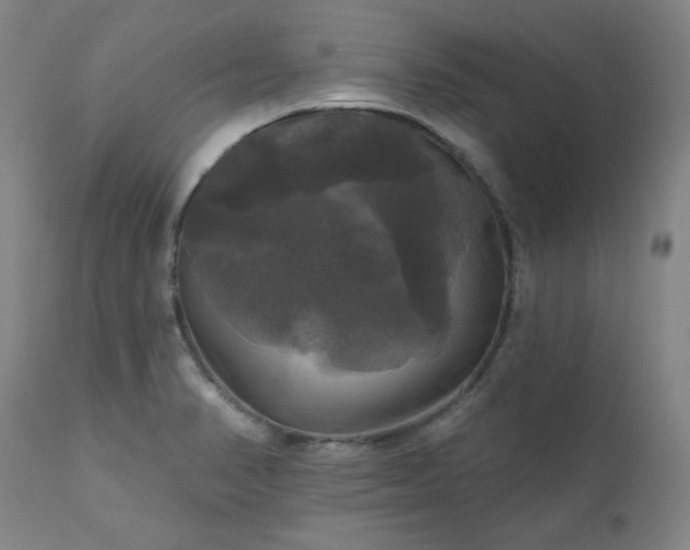 X0000111241374200907091349