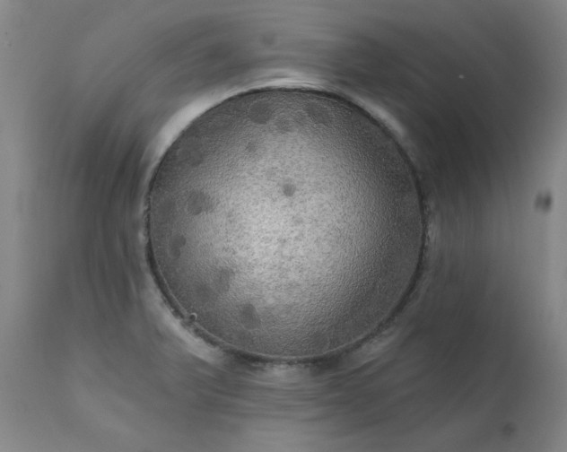 X0000111241375200907091349