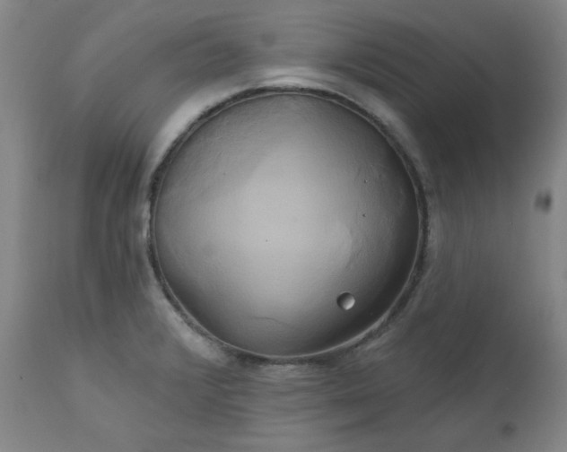 X0000111241376200907091349