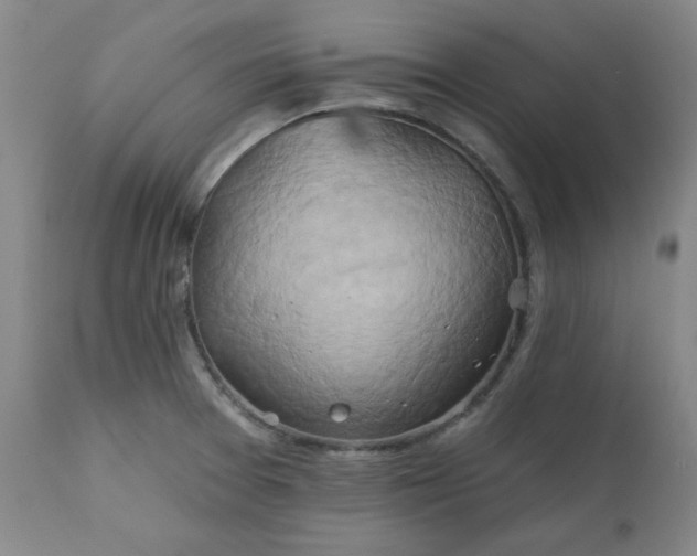 X0000111241377200907091349