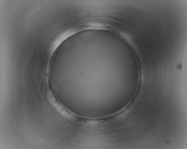 X0000111241378200907091349