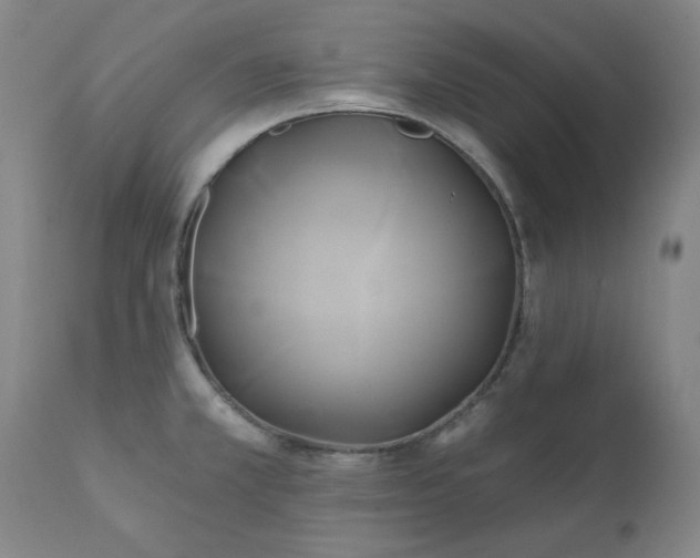 X0000111241381200907091349