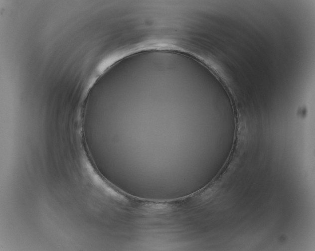X0000111241382200907091349