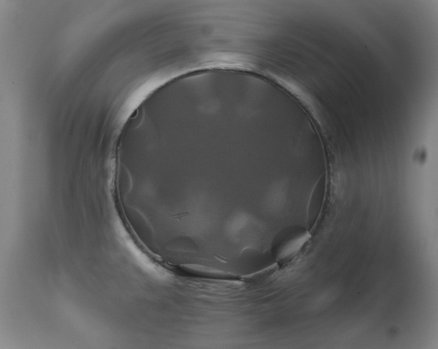 X0000111241383200907091349