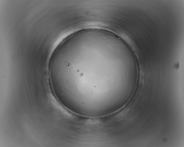 X0000111241384200907091349