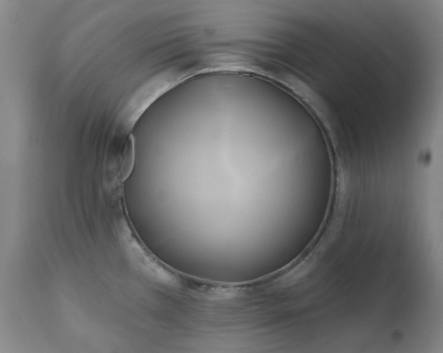 X0000111241385200907091349