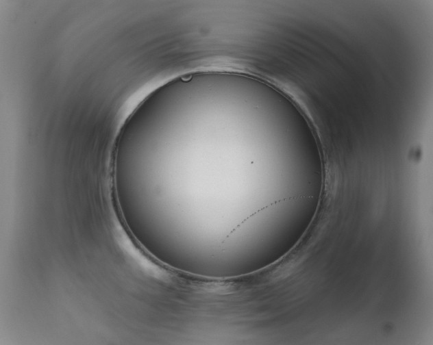 X0000111241387200907091349
