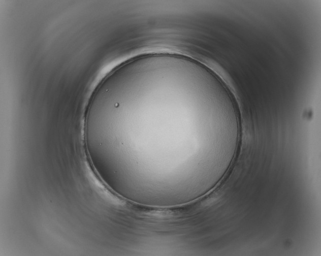 X0000111241388200907091349