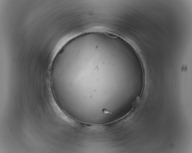 X0000111241392200907091349