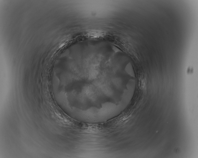X0000111241393200907091348