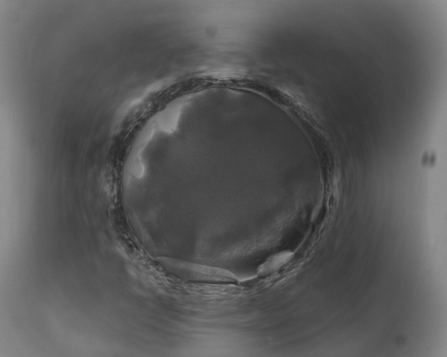 X0000111241398200907091348