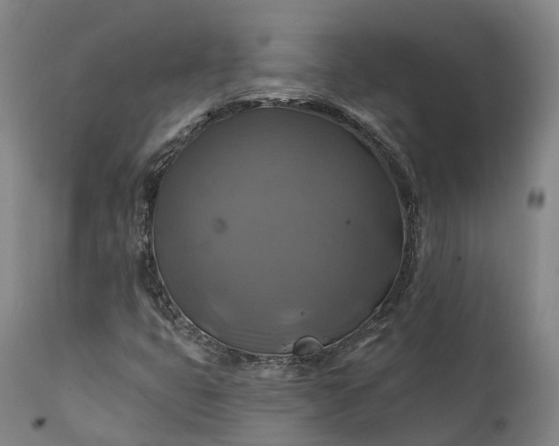 X0000111241399200907091348