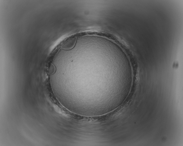 X0000111241400200907091348