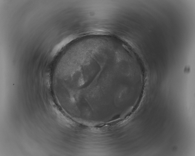 X0000111241402200907091348