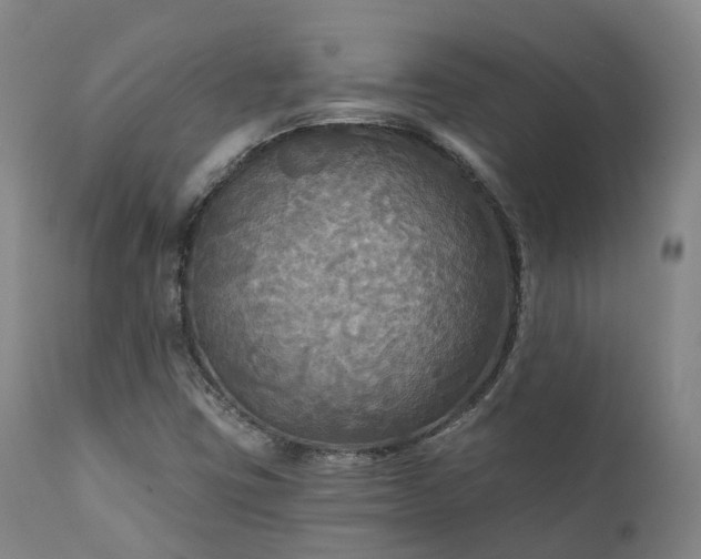 X0000111241403200907091348