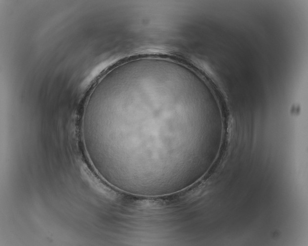 X0000111241404200907091348