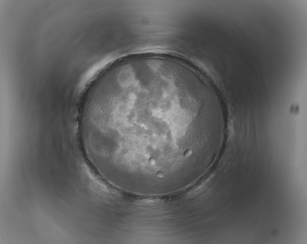 X0000111241406200907091348