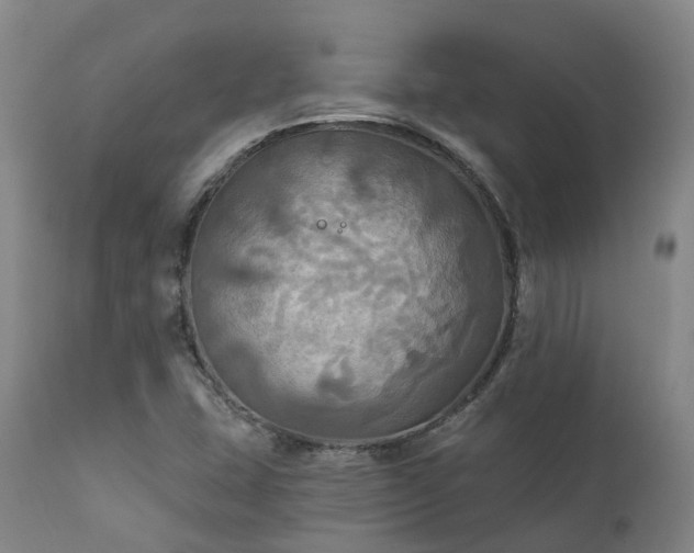 X0000111241407200907091348