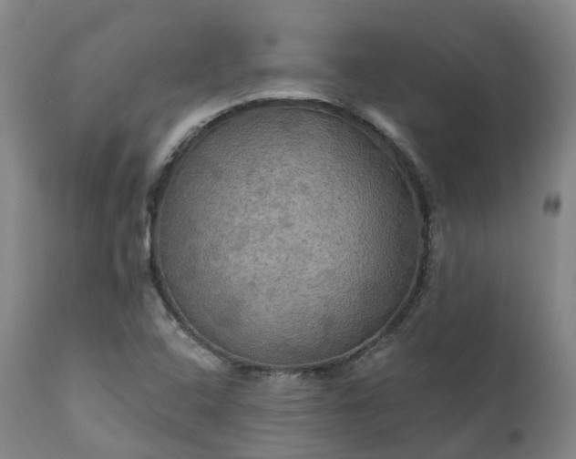 X0000111241408200907091348