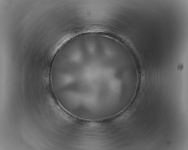 X0000111241409200907091348