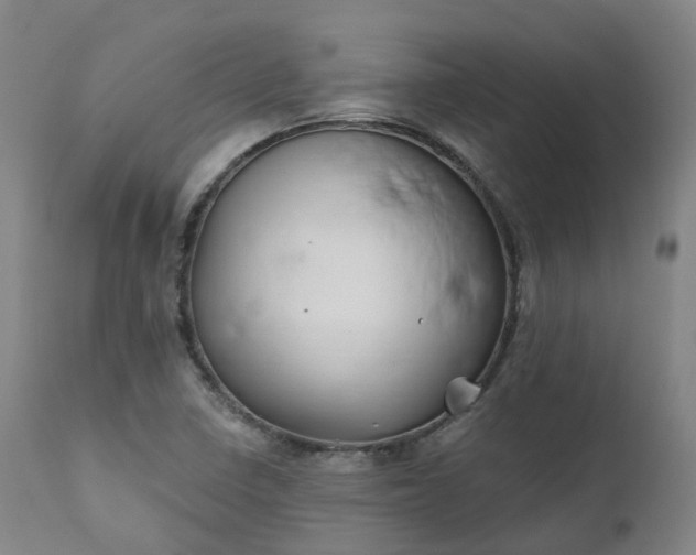 X0000111241410200907091348