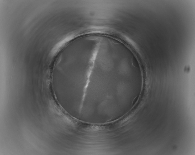 X0000111241411200907091348