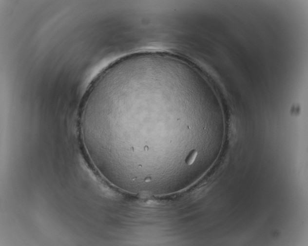 X0000111241412200907091348