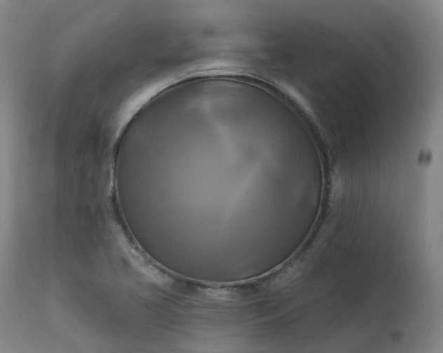 X0000111241413200907091348