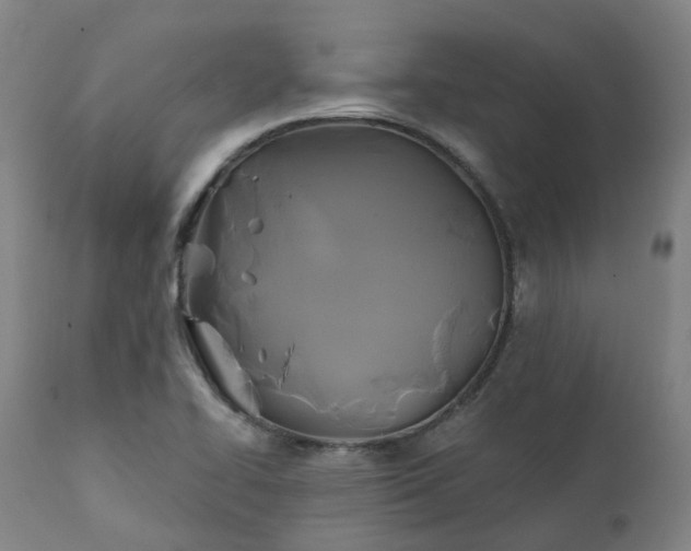X0000111241414200907091348