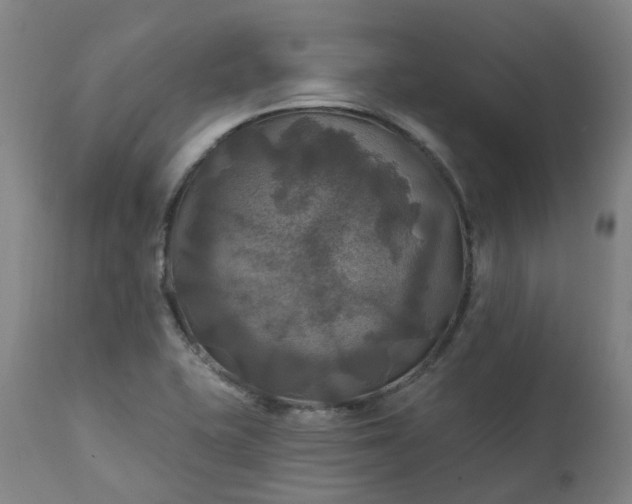 X0000111241415200907091348