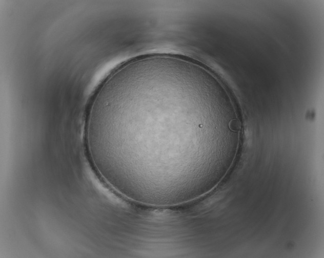 X0000111241416200907091348