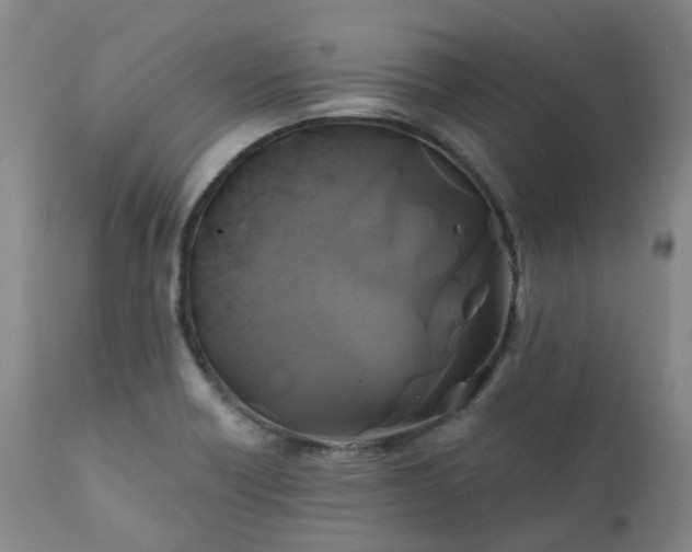 X0000111241418200907091348