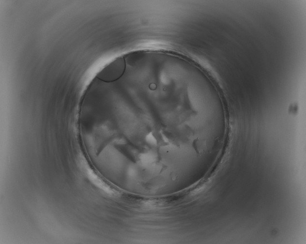 X0000111241421200907091348