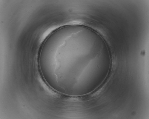 X0000111241422200907091348