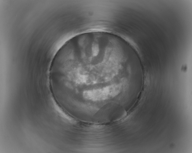 X0000111241423200907091348