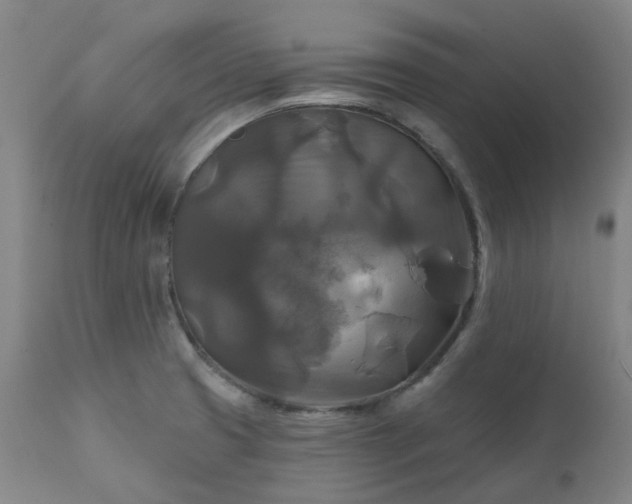 X0000111241425200907091348