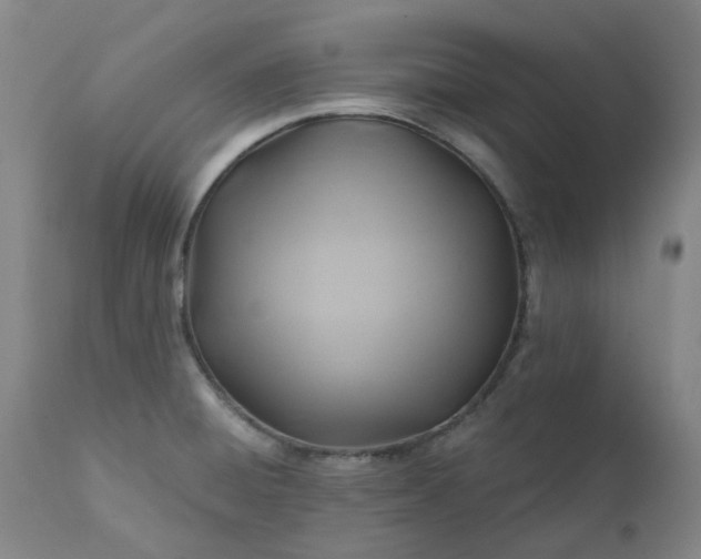 X0000111241428200907091348