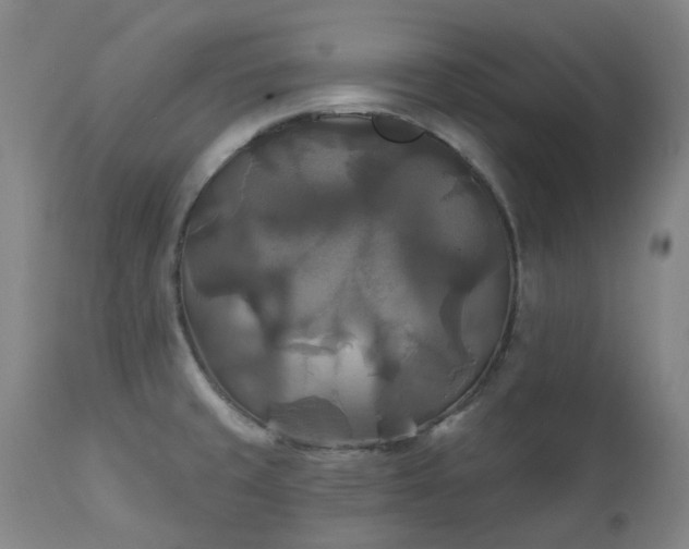 X0000111241429200907091348