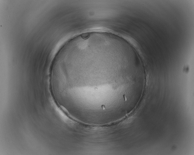 X0000111241430200907091349