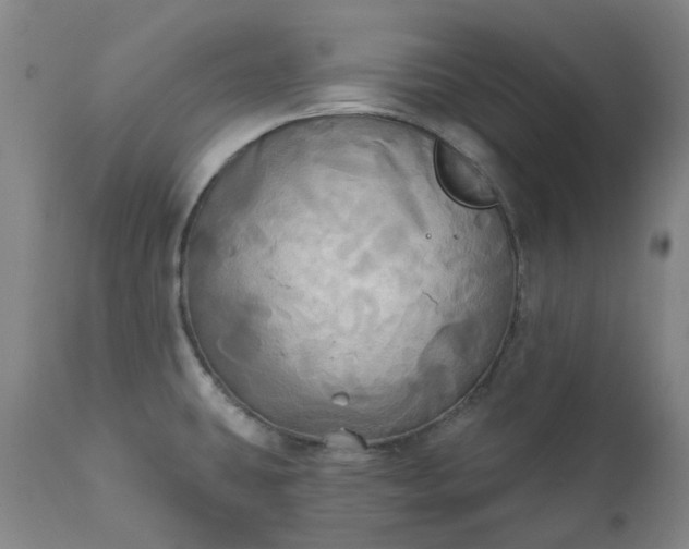 X0000111241431200907091349